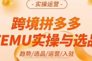 伍跃·跨境拼多多TEMU实操与选品，趋势/选品/运营/入住（27节完整）