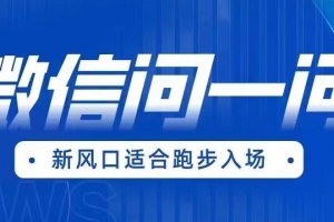 全网首发微信问一问新风口变现项目