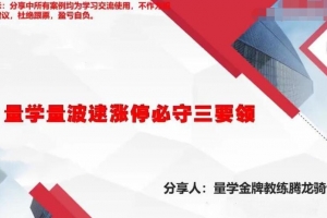 量学云讲堂腾龙骑士张宇量学第六期