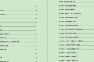 Zarili龙头战法总结贴 1096页PDF文档