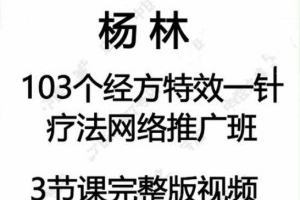 杨林103个经方特效一针疗法