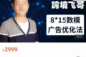 跨境飞哥·广告优化高阶课第二十三期，8*15数模广告优化法，用数据驱动决策