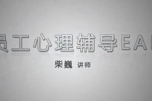 企业EAP员工心理辅导员工帮助计划清晰视频EAP案例分析16节赠课件