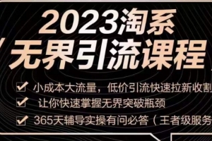 2023淘系无界引流实操课程，小成本大流量，低价引流快速拉新收割，让你快速掌握无界突破瓶颈