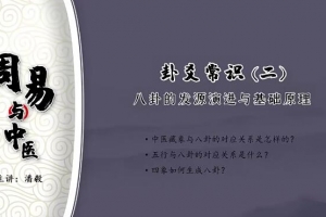 潘毅淍昜与中医（视频）