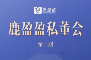 (鹿大米)鹿盈盈私董会密训【第二期】3节