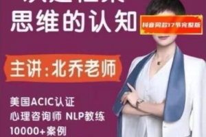 北乔老师重建框架思维的认知17集