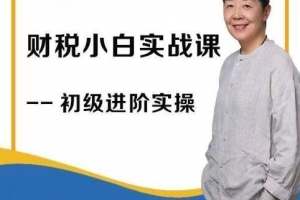 财稅小白实战课 财务 会计实操课【石彦文讲财税】
