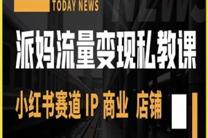 派妈流量变现私教课，小红书赛道IP 商业 店铺