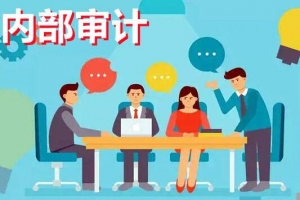 中华会计网校：内部审计讲解