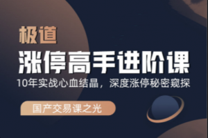 作手逍遥风极道蓝冰系列涨停高手进阶课