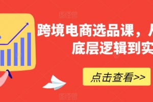 跨境电商选品课，从选品到底层逻辑到实战