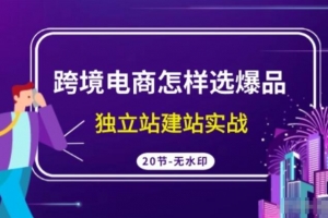跨境电商如何选爆品，独立站建站实操