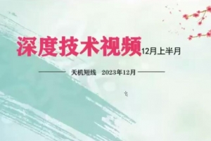 天机短线深度技术视频 2023年12月
