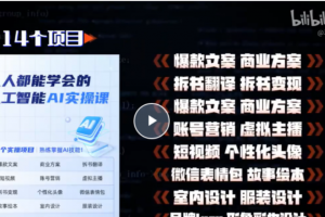 【人工智能AI实操课】14个项目带你熟练掌握AI