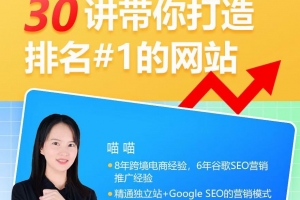 谷歌SEO从入门到精通，30讲带你打造排名#1的网站