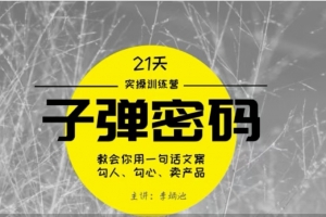 李炳池-21天《子弹秘密》训练营 21天学到顶尖文案大师的策略和技巧