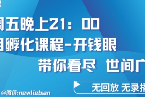 林枫4.26日内部直播课程《项目孵化-开钱眼》赚钱的底层逻辑【揭秘】