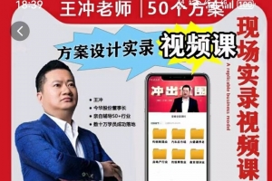王冲老师50个行业现场设计方案50个方案实录商业模式
