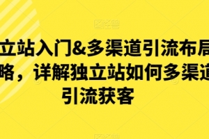 优乐出海独立站入门&多渠道引流布局策略，详解独立站如何多渠道引流获客