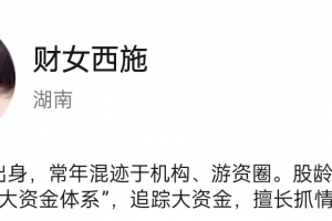 财女西施玉环交易体系课程 视频+课件+指标