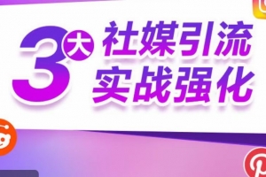 阿甘·3大社媒引流实战强化 Reddit、Pinterest、Instagram 营销推广引流实操指南