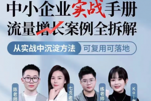 中小企业实战手册流量增长案例全拆解，从实战中沉淀方法，可复用可落地