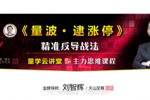 量学云讲堂天山至尊刘智辉《量学识庄·伏击涨停》成交量学段位课1-7段