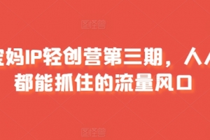 斜杠豆豆-宝妈IP轻创营第三期，人人都能抓住的流量风口
