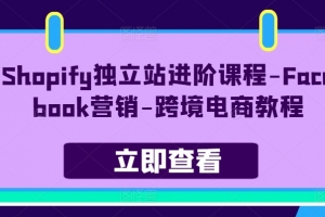 [青蛙学堂]Shopify独立站进阶课程-Facebook营销-跨境电商教程