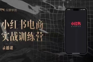 余文-小红书电商实战训练营，小红书笔记带货和无人直播，24年新课