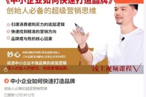 妙心－－中小企业如何快速打造品牌，创始人必备的超级营销思维