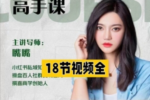 嘴嘴私域IP变现高手课，做好私域，被动成交，教你如何打造好朋友圈做好社群