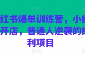 小红书爆单训练营，小红书开店，普通人逆袭的红利项目_可乐小红书电商