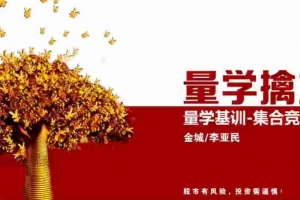 量学云讲堂金城李亚民集合竞价课程4集