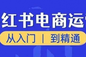 小红书电商运营课，从入门到精通，带你抓住又一个赚钱风口