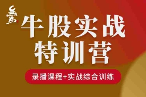 无为学院牛股实操特训营（1N） 47节