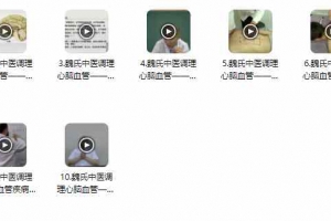魏晓辉魏氏中医调理心脑血管疾病 十六期