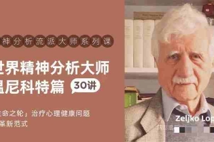 世界精神分析大师系列课——温尼科特篇【视频课30讲】