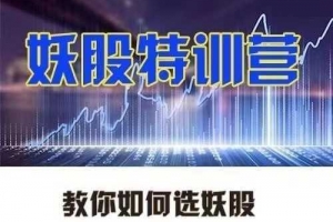 李栋妖股特训营，教你如何选妖股