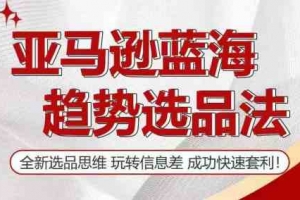亚马逊蓝海趋势选法，全新选品思维，玩转信息差
