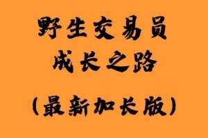 白仪野生交易员成长之路加长版资料PDF 2100多页图文干货