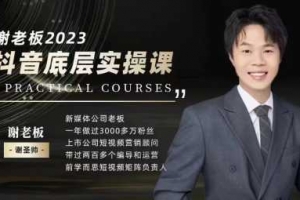 蟹老板做IP-2024抖音底层实操课，重塑短视频底层逻辑，打造个人ip变现