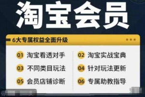 淘宝会员【淘宝所有课程，全面分析对手】，初级到高手全系实战宝典