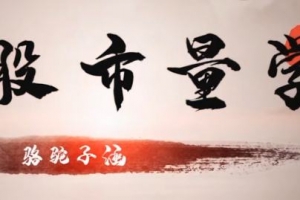 股市量学骆驼子涵大盘系统课程