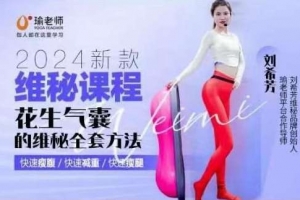 2024新款刘希芳维秘课程花生气囊的维秘全套方法 速瘦 快速型无代偿瘦腹减重瘦腿