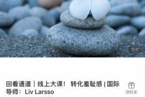 转化羞耻感 _ 国际导师：Liv Larsso