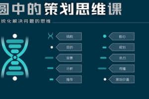 圆中的猫头鹰-圆中的策划思维课，系统化解决问题的思维