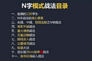 涨停N字战法视频教程 10集