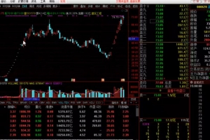 大柚子笔记 2024柚子投资课堂系统课程视频+笔记